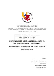 NICOLAS IBAÑEZ_MARIA DEL CARMEN_TFM.pdf.jpg