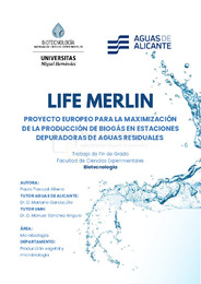 MEMORIA TFG PAULA PASCUAL ALBERO.pdf.jpg