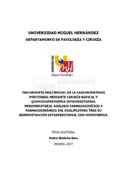 T.D. Bretcha Boix, Pedro_compressed.pdf.jpg