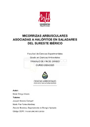 TFG Mario_final.pdf.jpg