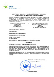 Certificado.pdf.jpg