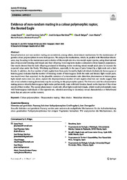 Evidence of non-random mating in a colour polymorphic raptor, the Booted Eagle.pdf.jpg