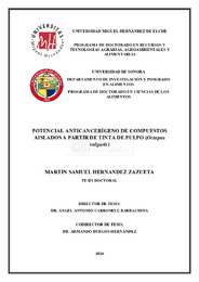 TD Hernández Zazueta, Martín Samuel.pdf.jpg