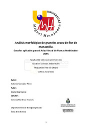 TFG GONZALEZ PEREZ, ANTONIO.pdf.jpg