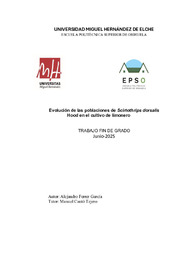 TFG Ferrer Garcia, Alejandro.pdf.jpg