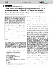 Angew Chem Int Ed - 2024 - Zhang - Cobalt Tetracationic 3 4‐Pyridinoporphyrazine for Direct CO2 to Methanol Conversion.pdf.jpg