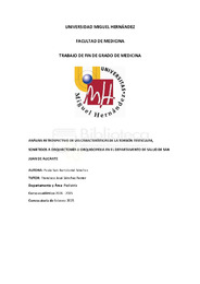 Vista previa 