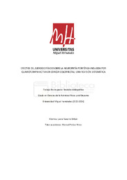 TFG Navarro Urban, Laura.pdf.jpg