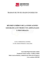 TFG DERECHO. Torregrosa Sempere, Elena.pdf.jpg
