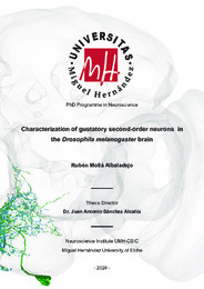 Thesis SF Ruben Molla Albaladejo.pdf.jpg