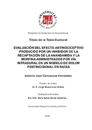 T.D Carrascosa Fernández, Antonio José.pdf.jpg