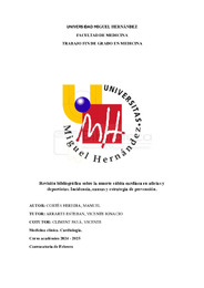 CORTÉS HEREDIA, MANUEL, TFG.pdf.jpg