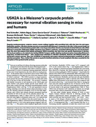 USH2A is a Meissner’s corpuscle protein necessary for normal vibration sensing in mice and humans.pdf.jpg