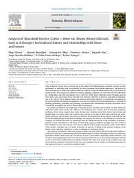 Lima de Marrakech publicado 7 nov 2021r.pdf.jpg