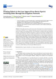 Floating Debris in the Low Segura River Basin.pdf.jpg