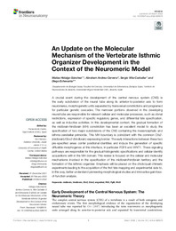 An Update on the Molecular Mechanism of the Vertebrate Isthmic Organizer Development in the Context of the Neuromeric Model.pdf.jpg