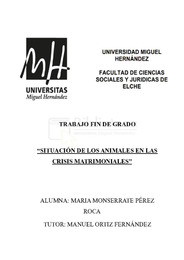 TFG SITUACIÓN DE LOS ANIMALES EN LAS CRISIS MATRIMONIALES.pdf.jpg
