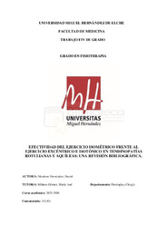 TFG DAVID MARTÍNEZ HERNÁNDEZ.pdf.jpg