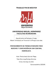 GALLARDO PLIEGO_TOMAS JESUS _TFM.pdf.jpg