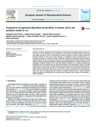 10 Comparison of segmental dependent permeability in human and in situ (1).pdf.jpg