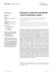 Klinefelter syndrome and ADHD.pdf.jpg