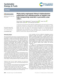 2020__Sustainable Energy Fuels.pdf.jpg