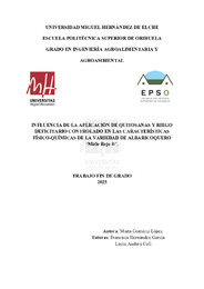 TFG Gomariz Lopez, Marta.pdf.jpg