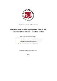 Vista previa 